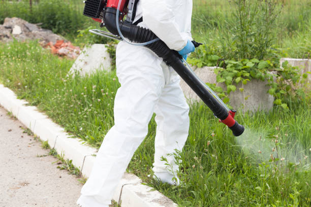 Pest control worker spraying insecticide Man spraying insects outdoors. Pest control. mosquitos in yard stock pictures, royalty-free photos & images