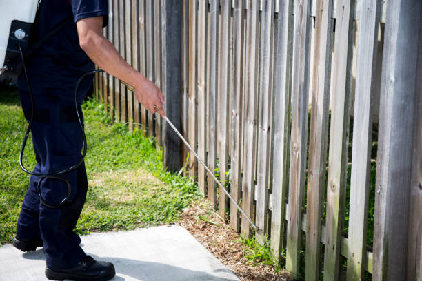 Pest Control Worker Spraying Pesticide Pest Control Worker Spraying Pesticide outside the house pest stock pictures, royalty-free photos & images