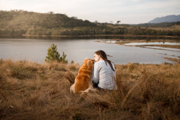 Pet owner showing affection to her dog stock photo
