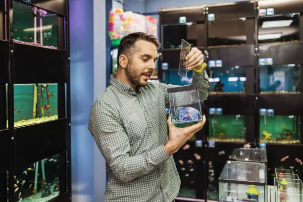 Pet shop Handsome middle age man choosing and buying exotic fishes in modern pet shop. small aquarium stock pictures, royalty-free photos & images