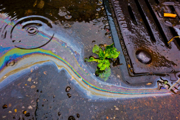 Petrol Oil In Water Running Down the Drain stock photo