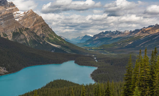 Peyto Lake, Banff National Park, stock photo