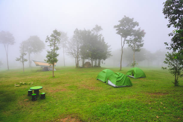 phahuanak camping site at phulankha national park, chaiyaphum, thailand - chaiyaphum stockfoto's en -beelden
