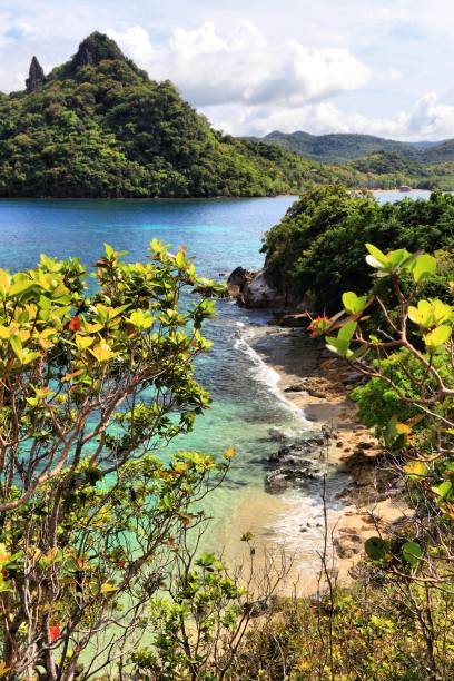 krajobraz wysp filipin - snake island zdjęcia i obrazy z banku zdjęć