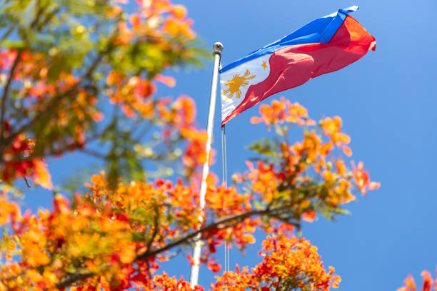 Philippines National flag with flower stock photo