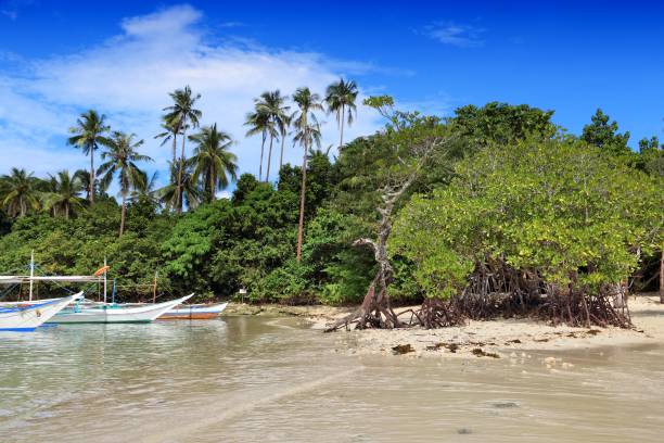 filipinler doğa - snake island stok fotoğraflar ve resimler