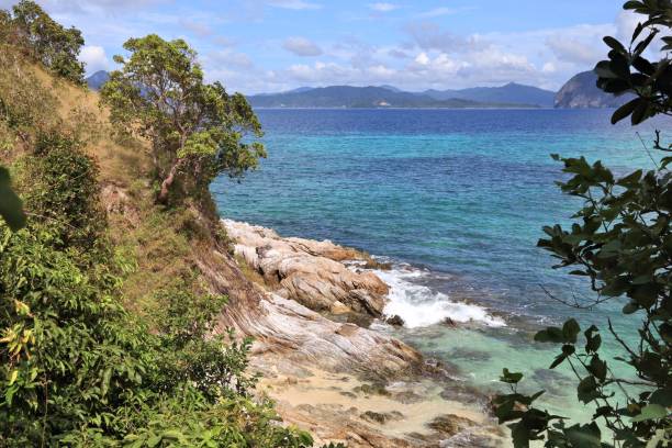 菲律賓自然 - snake island 個照片及圖片檔