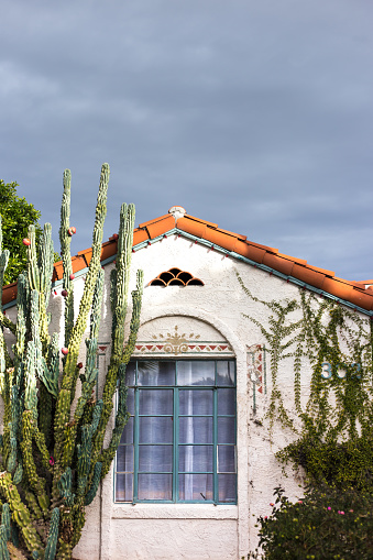 Phoenix, AZ: A traditional whitewashed adobe house with a candelabra cactus in the Willo Historic District of Phoenix.