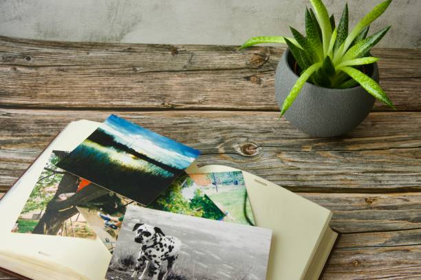 um álbum de fotos com várias fotografias coloridas espalhadas em uma mesa de madeira - fotografia imagem - fotografias e filmes do acervo