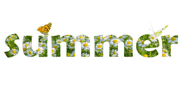 Photo collage - word "summer" on a white background stock photo