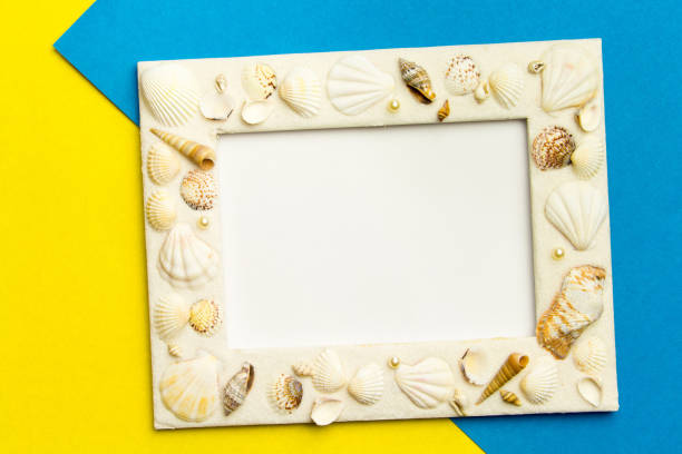 Photo frame with shells on blue and yellow color paper texture background. The concept of a summer vacation.  Summer Flatlay Image stock photo