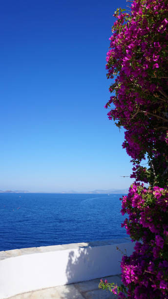 Photo from picturesque island of Hydra on a spring morning, Saronic Gulf, Greece stock photo