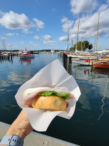 Close up photo of hand holding bun with fish and onion, traditional north german healthy fast food with rural bucht on background