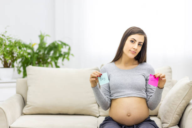 Photo of positive pregnant woman holding pink and blue papers which mean gender of future baby. stock photo