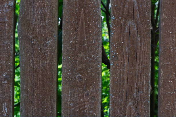 Photo of wooden fence in garden Photo backround of garden fence from wooden planks with moss xylo stock pictures, royalty-free photos & images