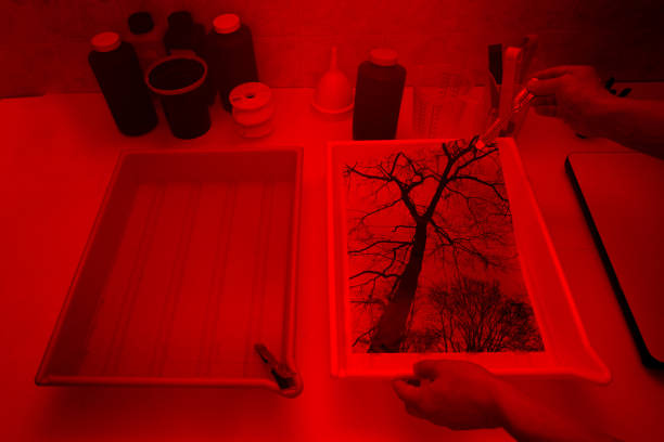 Photographer printing a photo in a darkroom Photographer hand holding a developing photo with a tong, emerging from a development tray, inside a darkroom with printing tools and materials for analog photography, illuminated by a red light. A tree silhouette is the main image subject. Tanks filled with chemicals and various tools on the background. Bottles and trays with developer bath, stop bath and fixer. All pictures on paper constitute personal work. human limb photos stock pictures, royalty-free photos & images