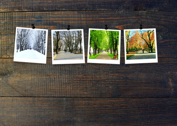 Photos of four seasons attached to dark wooden wall. Seasons on dark background Four seasons on wooden background. Photos of four seasons attached to dark wooden wall. Four photos of same park taken at different times of year. Different times of year spring, summer, autumn,winter season stock pictures, royalty-free photos & images
