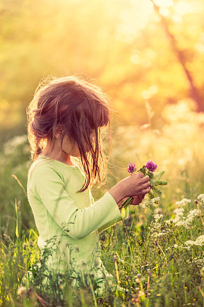 Picking flowers Girl picking flowers in a summer meadow. swedish girl stock pictures, royalty-free photos & images