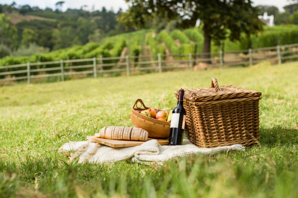 Picnic at park Picnic basket on grass with food and drink on blanket. Picnic lunch outdoor in a nice field on sunny day with bread, fruit and bottle of red wine. Pic nic on green grass with landscape in the background. picnic stock pictures, royalty-free photos & images