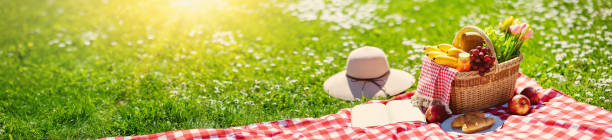 Picnic basket on the duvet on the meadow in the nature stock photo