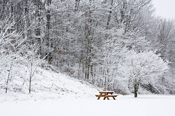 Picnic Bench Under Snow Covered tree stock photo
