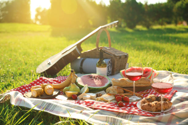 selimut piknik dengan makanan dan minuman lezat di luar ruangan pada hari yang cerah - tamasya potret stok, foto, & gambar bebas royalti