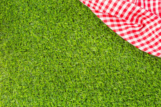 Picnic cloth on meadow with copy space stock photo