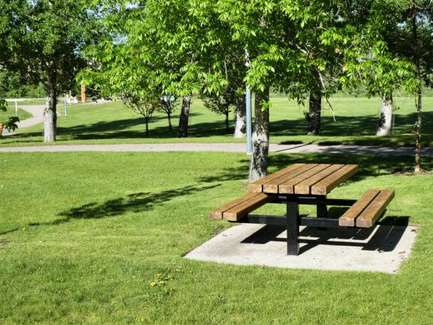 Picnic Table in a Beautiful Park stock photo