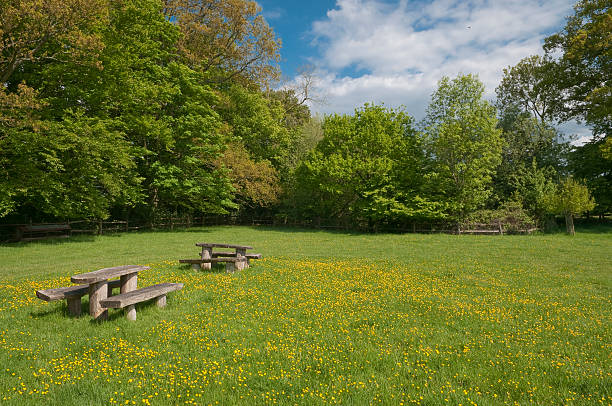 picnic table in blooming meadow stock photo