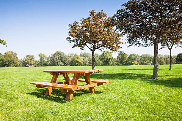 ピクニックテーブルに緑の牧草地 - wood table ストックフォトと画像