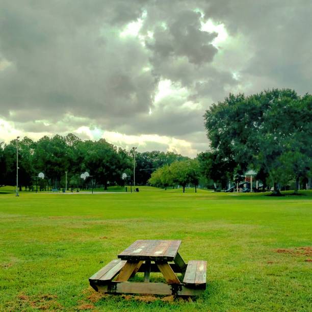 Picnic Table on a Park Lawn stock photo
