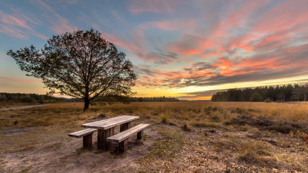 Picnic table under beautiful sunset Picnic table in heathland nature reserve under beautif sunset with orange and pink clouds in Drenthe, Netherlands. nature reserve stock pictures, royalty-free photos & images