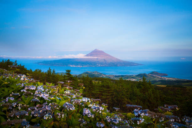 Pico Island, Azores Mount Pico seen from Horta, Azores acores stock pictures, royalty-free photos & images