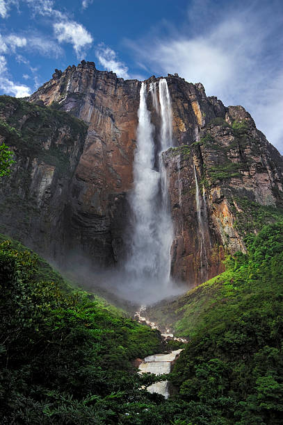 Picture of Angel Falls, taken from below looking up stock photo