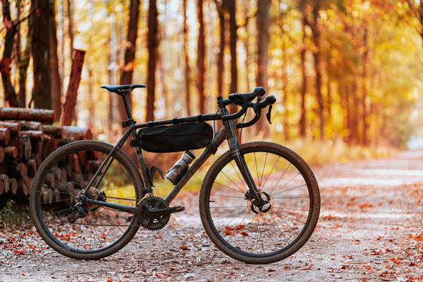 Picture of gravel bike standing on forest road in autumn stock photo