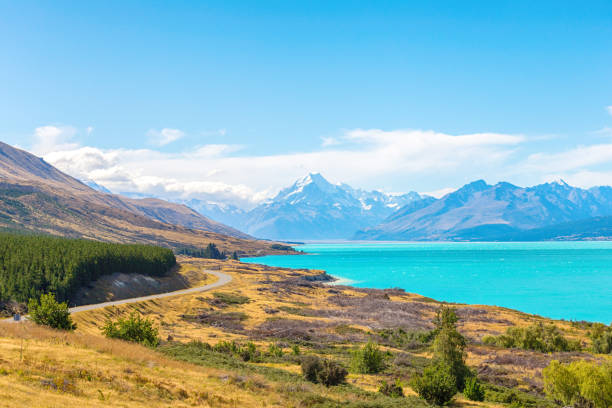 Picture of Winding road and view of Mount Cook as a Background, south island New Zealand stock photo