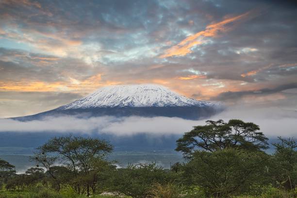 Pictures of the snow-covered Kilimanjaro in Tanzania Pictures of the snow-capped Kilimanjaro in Tanzania mt kilimanjaro photos stock pictures, royalty-free photos & images
