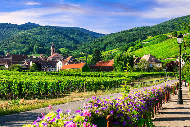 Picturesque countryside of Alsace region- famous "vine route" France Impressive village in Alsace region,France. riquewihr stock pictures, royalty-free photos & images