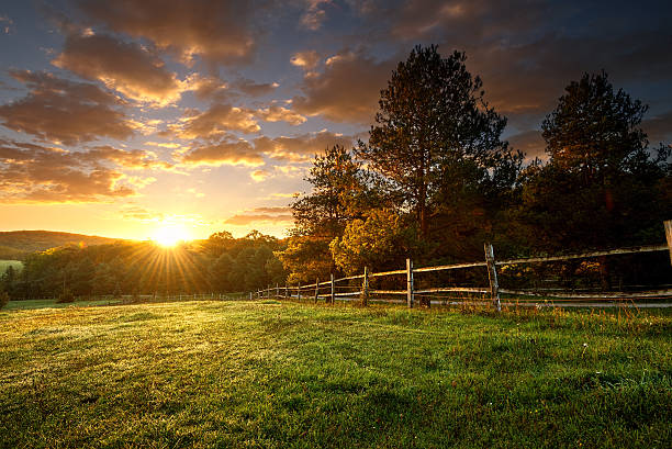 picturesque landscape, fenced ranch at sunrise - landelijke scène stockfoto's en -beelden