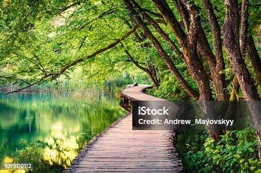 istock Picturesque morning in Plitvice National Park. Colorful spring scene of green forest with pure water lake. Great countryside view of Croatia, Europe. Beauty of nature concept background. 1093110112