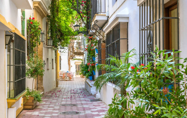 Picturesque sight in Marbella old town, province of Malaga, Spain. Picturesque sight in Marbella old town, province of Malaga, Spain. marbella stock pictures, royalty-free photos & images