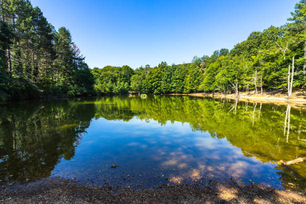 A picturesque small lake in Umbra Forest, a natural reserve part of Gargano National Park and UNESCO World Heritage Site, Apulia, Italy stock photo