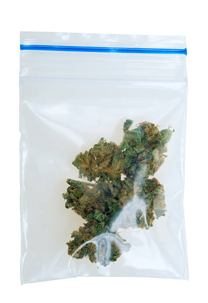 pieces of Cannabis in a plastic bag stock photo