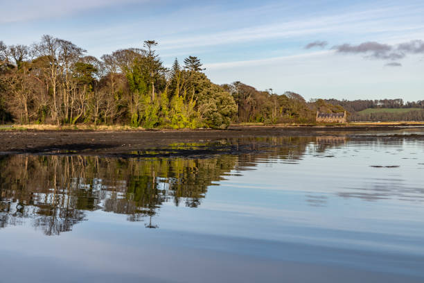 Pier house, Forest , trees reflection and Lake in Strangford lough at sunset Pier house, Forest , trees reflection and Lake in Strangford lough at sunset, Northern Ireland, UK strangford lough stock pictures, royalty-free photos & images