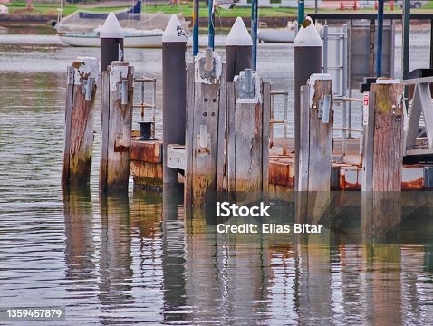 istock Pier stretching out into Concord Bay on Sydney Harbour NSW Australia 1359457879