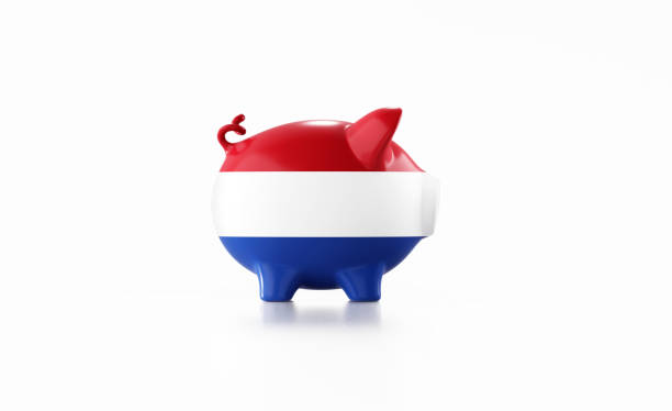 spaarvarken getextureerd met nederlandse vlag die op witte achtergrond wordt geïsoleerd - pensioen nederland stockfoto's en -beelden