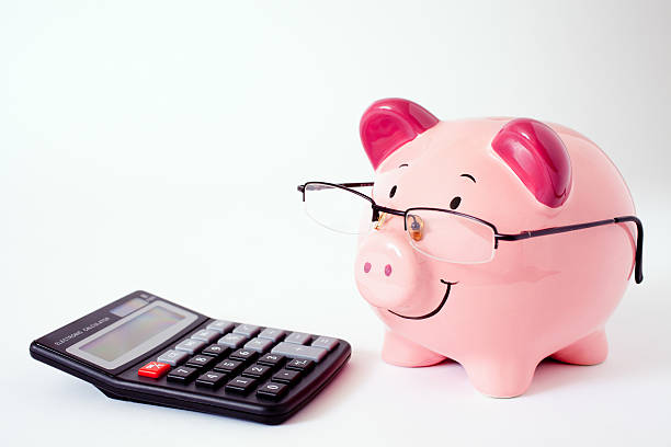 Risultati immagini per piggy bank calculator