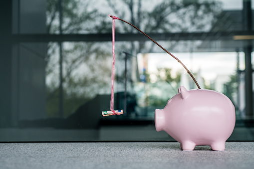 Piggy bank With a Money Carrot stick