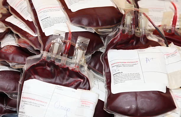 Pile of blood bags  with red blood cells stock photo