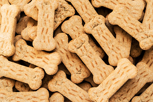 dog treats